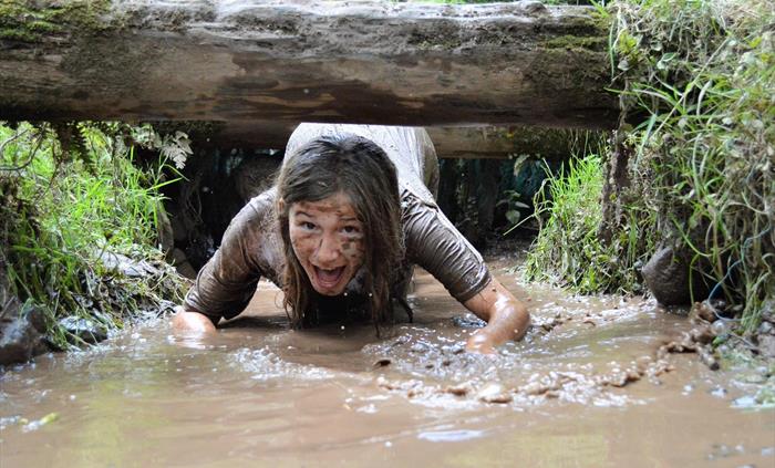 Multi-obstacle, woodland course offering a fun group/family activity